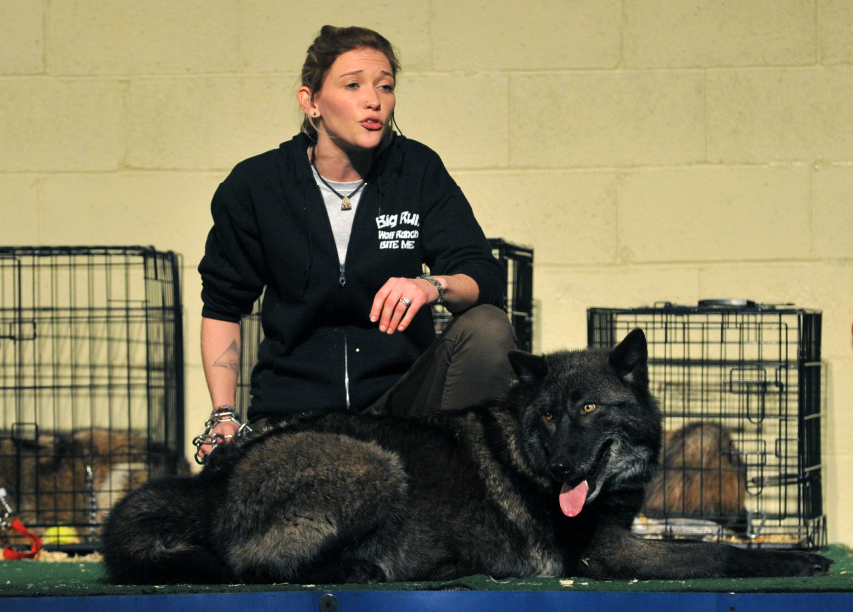 Bald Eagle Days at the QCCA Expo Center